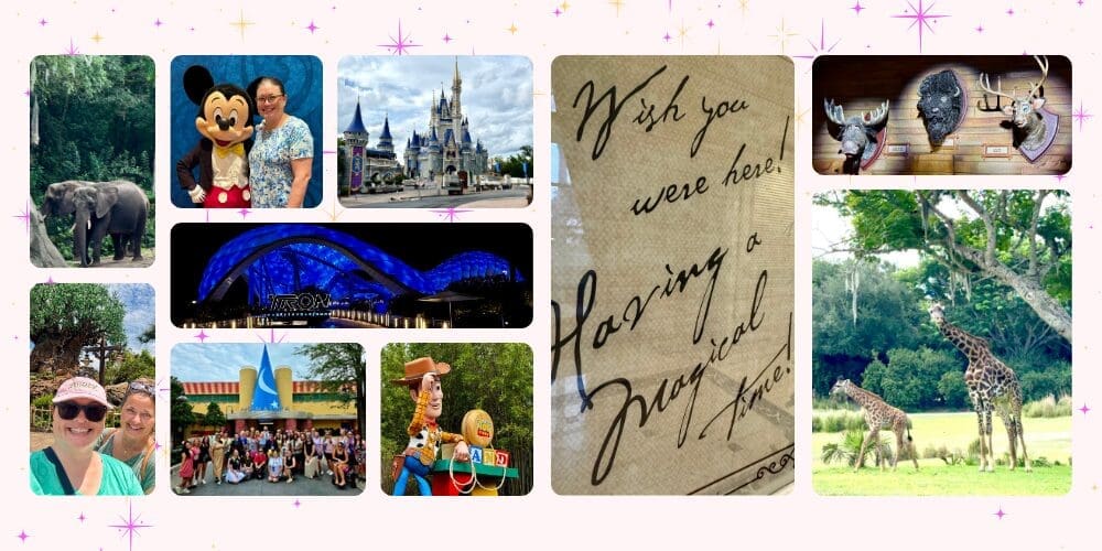 Collage highlighting Disney Education Event experiences at Walt Disney World Resort, including Disney's Grand Floridian Resort & Spa, nighttime entertainment, Disney's Hollywood Studios, EPCOT, and travel advisor friendships.